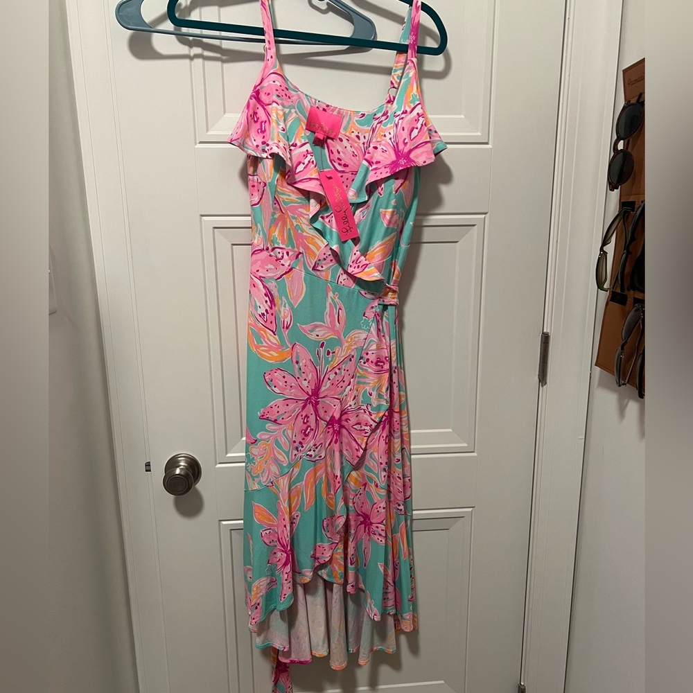 NWT Fontaine Knee Length Dress in Surf Blue Bonita Blooms. Size Medium.